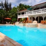Luxury backyard pool built by a top pool company in Michigan
