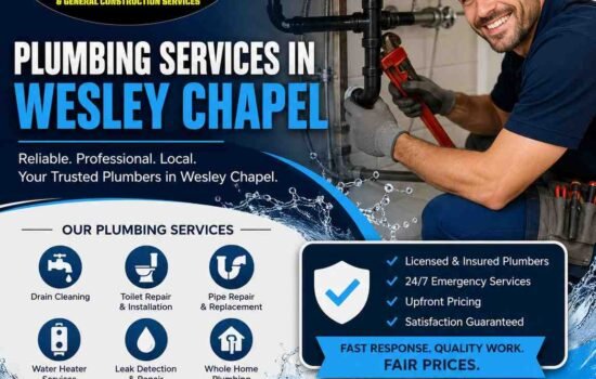 plumbing services in Wesley Chapel